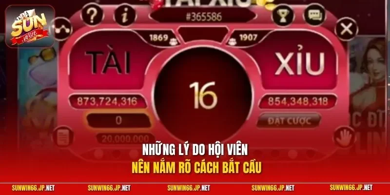 Cách Bắt Cầu Tài Xỉu Chuẩn Xác – Thực Hiện Từ Chuyên Gia 11 Sunwin Những lý do hội viên nên nắm rõ cách bắt cầu